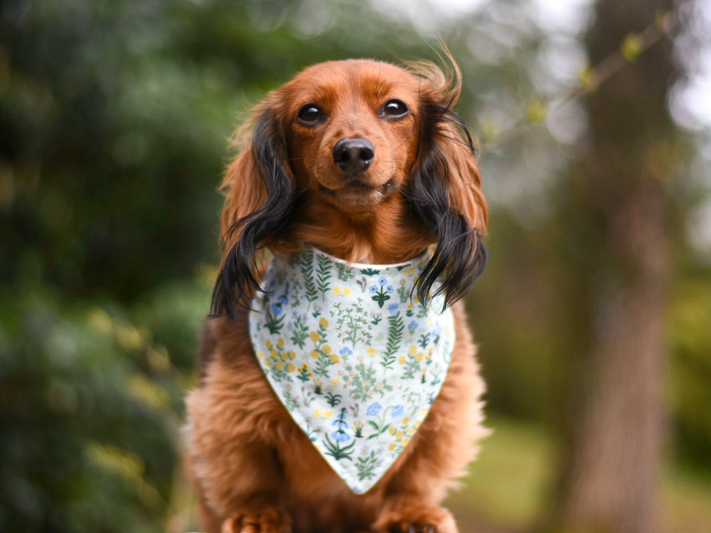 "Lucky Dood" Dog Bandana