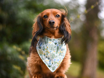 "Lucky Dood" Dog Bandana
