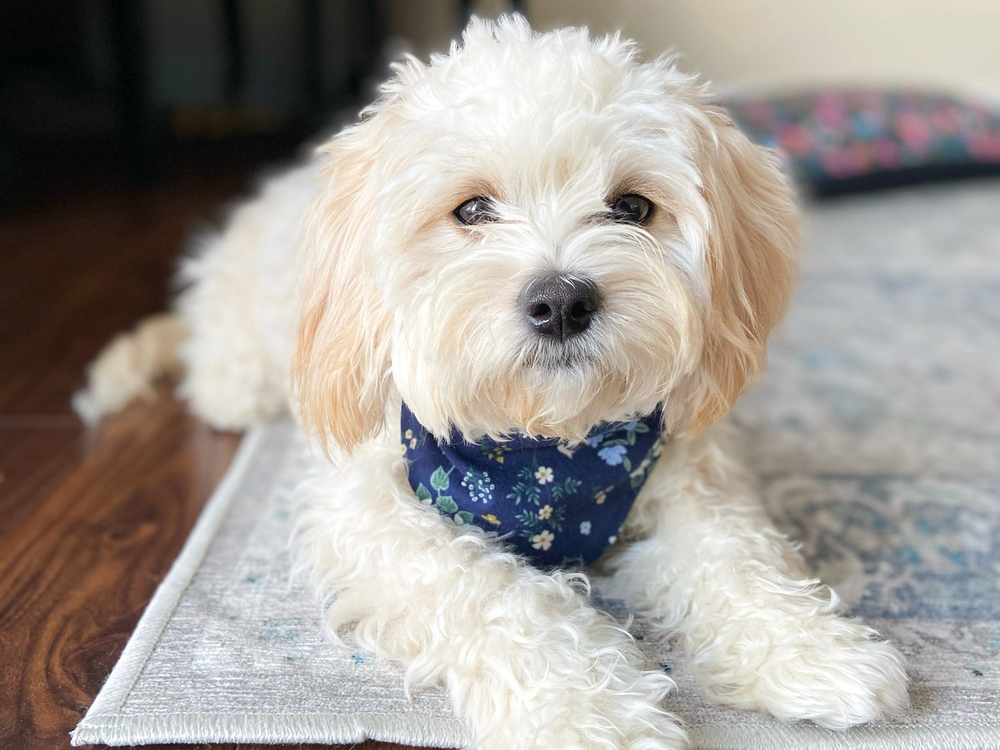 "I Love Mom" Dog Bandana