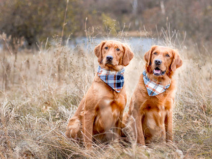 "Classic Bandana" Dog Bandana